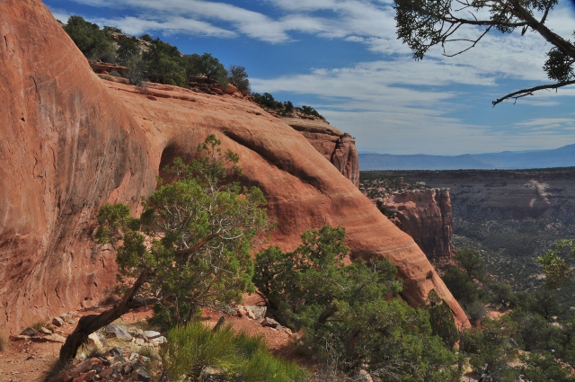 On the Coke Ovens Trail